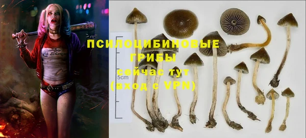 прущая мука Абаза