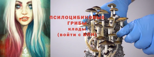 прущая мука Абаза
