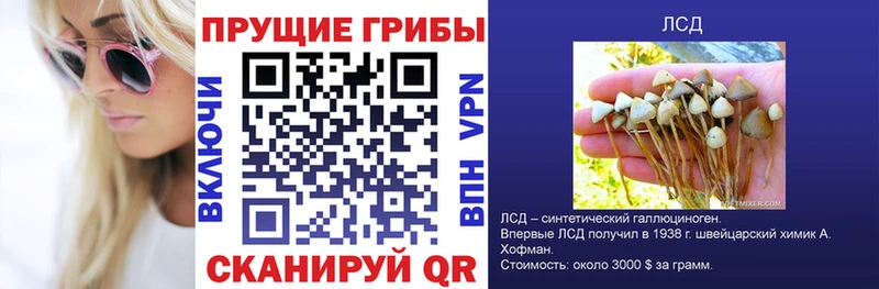 Псилоцибиновые грибы Cubensis  Катайск 